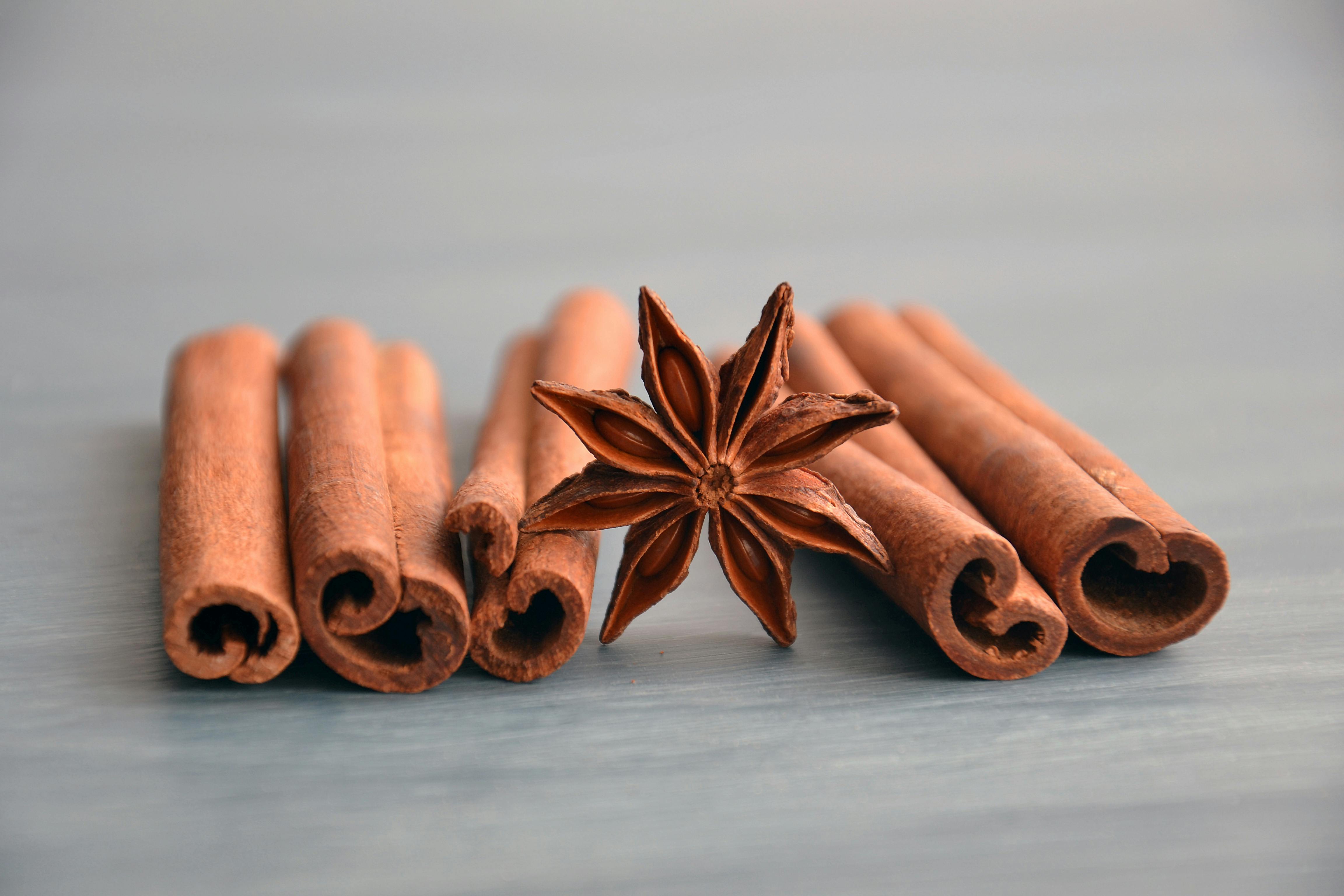 Is Cinnamon Safe for Dogs? Benefits and Risks Explained