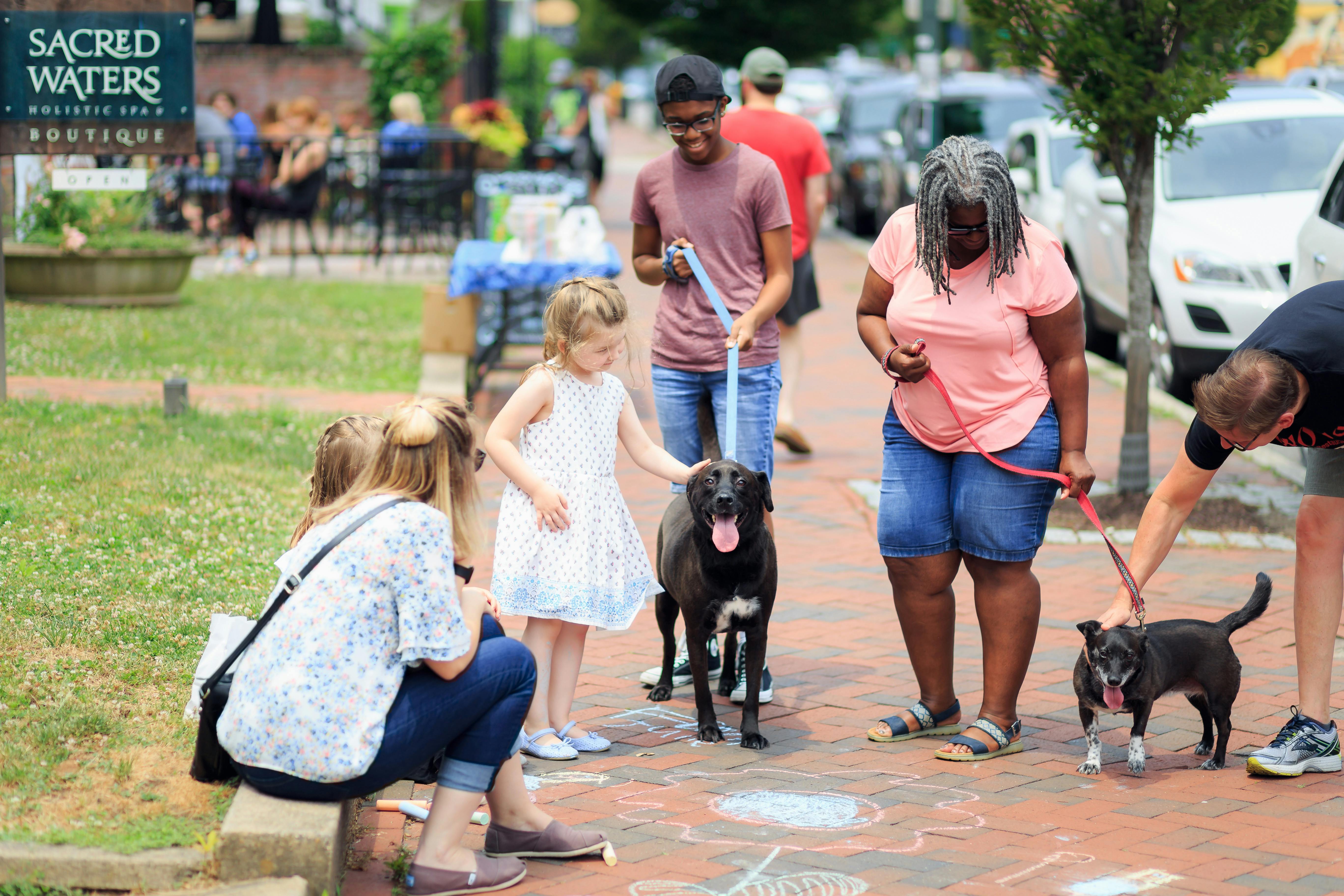 Best Dogs for Families: Breeds Which Are Good with Kids